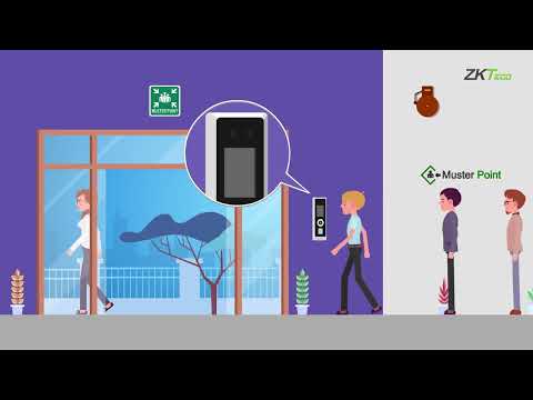 youtube - [Video]