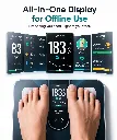 SCALE -22.webp